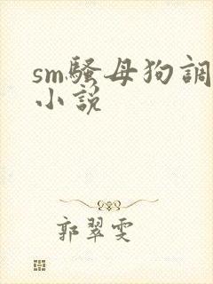 sm骚母狗调教小说