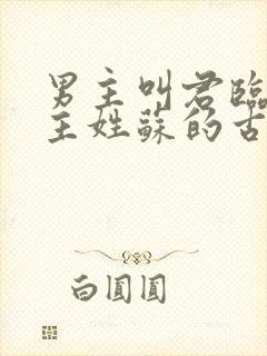 男主叫君临渊女主姓苏的古言小说