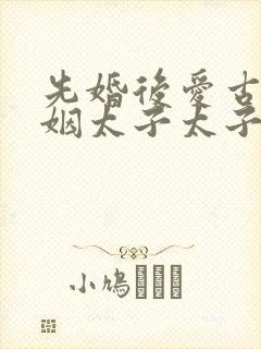 先婚后爱古言联姻太子太子妃