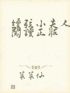 续弦小夫人免费阅读正版封面