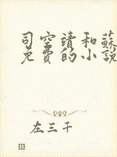 司空靖和苏月汐免费的小说最新章节封面