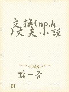交换(np,h)丈夫小说