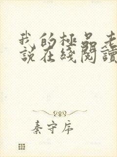 我的极品老婆小说在线阅读