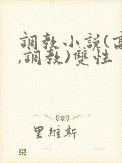 调教小说(高h,调教)双性