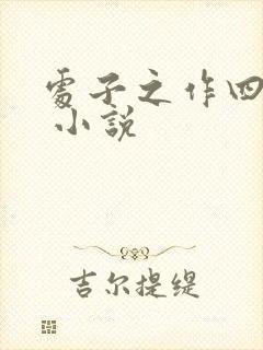 处子之作四部曲 小说