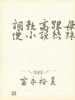 调教高跟母狗肉便小说丝袜