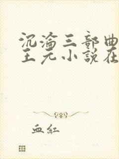 沉沦三部曲陈洁王元小说在线阅读