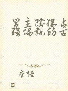 男主阴狠占有欲强偏执的古言