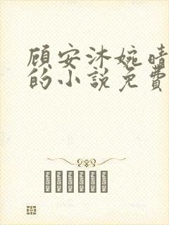 顾安沐婉晴主角的小说免费阅读