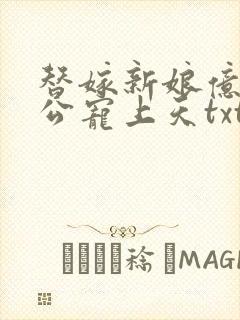 替嫁新娘亿万老公宠上天txt下载全本