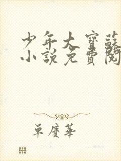 少年大宝苏雅琴小说免费阅读