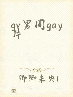 gv男同gay片