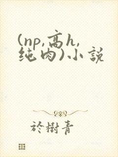 (np,高h,纯肉)小说