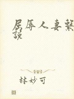 屈辱人妻系列小说