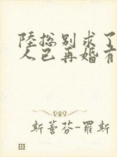 陆总别求了,夫人已再婚有娃了短剧免费观看