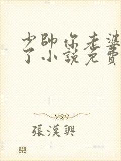 少帅你老婆又跑了小说免费阅读