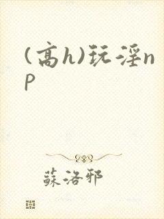 (高h)玩淫np封面