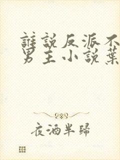 谁说反派不能当男主小说叶玄