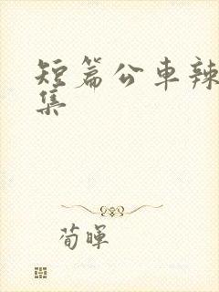 短篇公车辣文合集