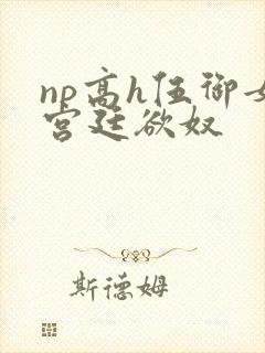 np高h伍御女宫廷欲奴
