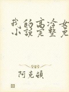 我的高冷女总裁小说完整免费