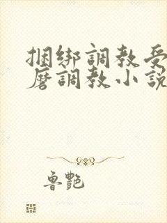 捆绑调教受虐折磨调教小说