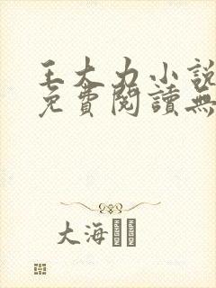 王大力小说小说免费阅读无弹窗