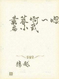 黄蓉啊～嗯啊h篇小武封面