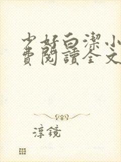 少好白洁小说免费阅读全文最新章节封面