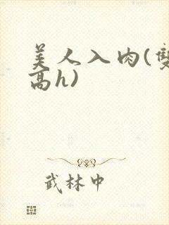 美人入肉(双性高h)