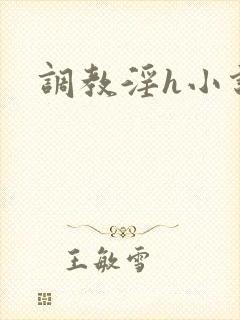 调教淫h小说封面