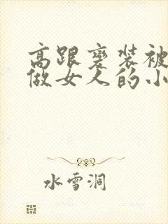 高跟变装被调教做女人的小说