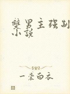 双男主强制爱h小说封面