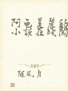 阿龟美丽的新娘小说在线阅读