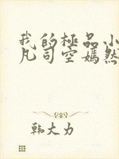 我的极品小姨叶凡司空嫣然小说免费阅读