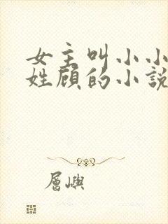 女主叫小小男主姓顾的小说