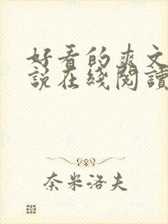 好看的爽文轻小说在线阅读封面