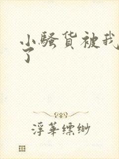 小骚货被我操哭了