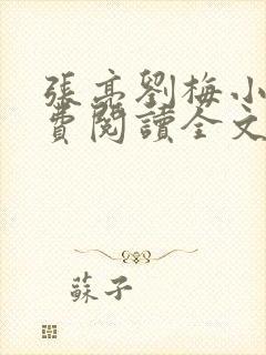 张亮刘梅小说免费阅读全文封面