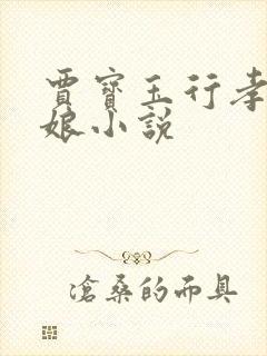 贾宝玉行孝赵姨娘小说