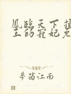 凤临天下 摄政王的宠妃免费阅读