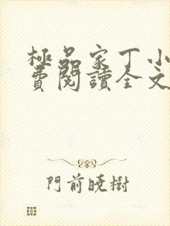 极品家丁小说免费阅读全文无删减