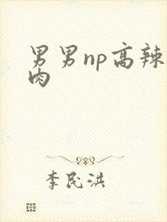 男男np高辣h肉