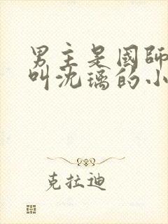 男主是国师女主叫沈璃的小说