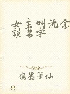 女主叫沈念的小说名字封面