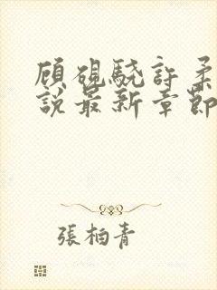 顾砚骁许柔汐小说最新章节更新内容