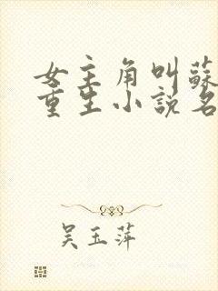 女主角叫苏念的重生小说名