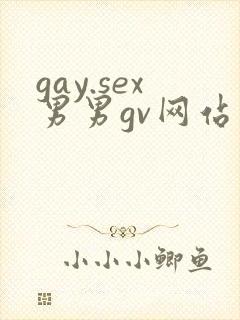 gay.sex男男gv网站