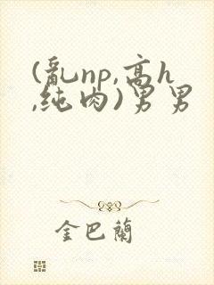 (乱np,高h,纯肉)男男