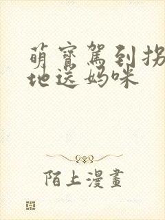 萌宝驾到拐个爹地送妈咪